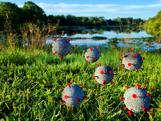 Robert Kidney, Covid Lake, 2021