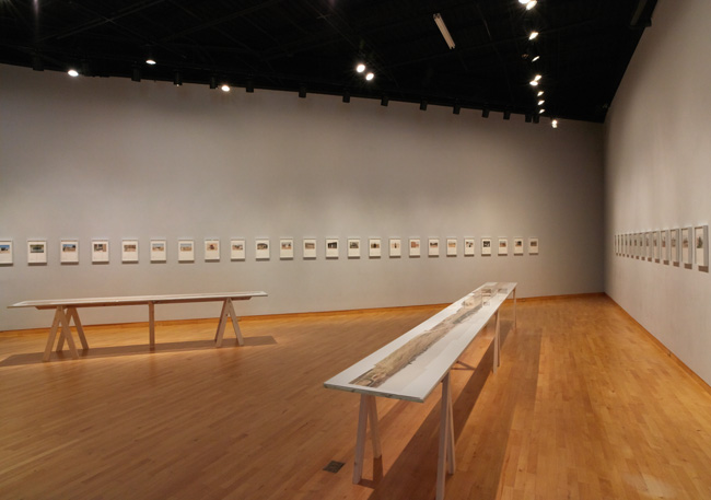 Installation view of Miki Kratsman: People I Met exhibition at USF Contemporary Art Museum. Photo: Will Lytch.