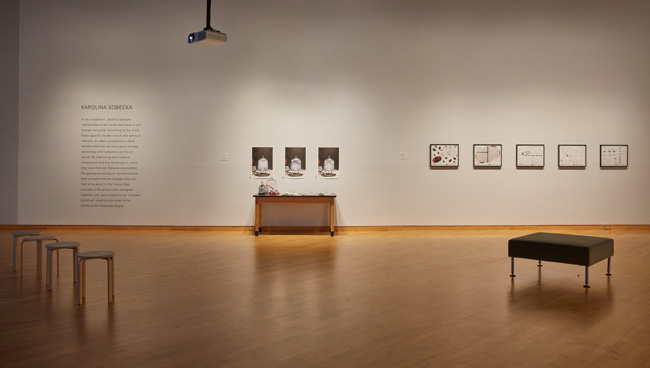 Installation view of The Visible Turn: Contemporary Artists Confront Political Invisibility exhibition at USF Contemporary Art Museum. Photo: Will Lytch.