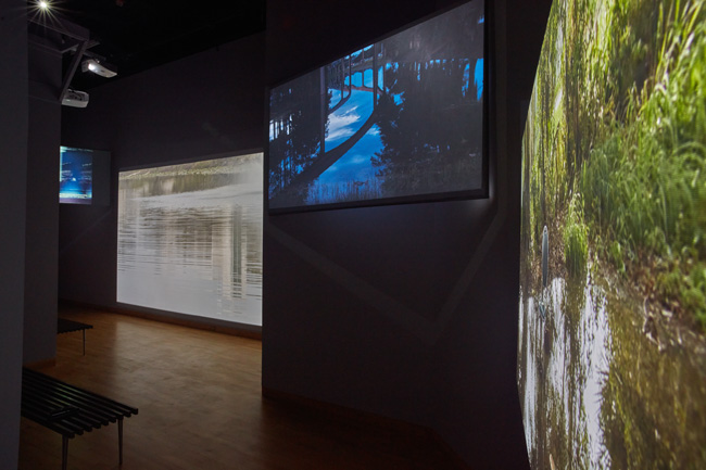 Sofía Gallisá Muriente & Natalia Lassalle-Morillo, Foreign in a Domestic Sense, 2021. Commissioned by USFCAM. Installation view of Constant Storm exhibition at USF Contemporary Art Museum. Photo: Will Lytch.