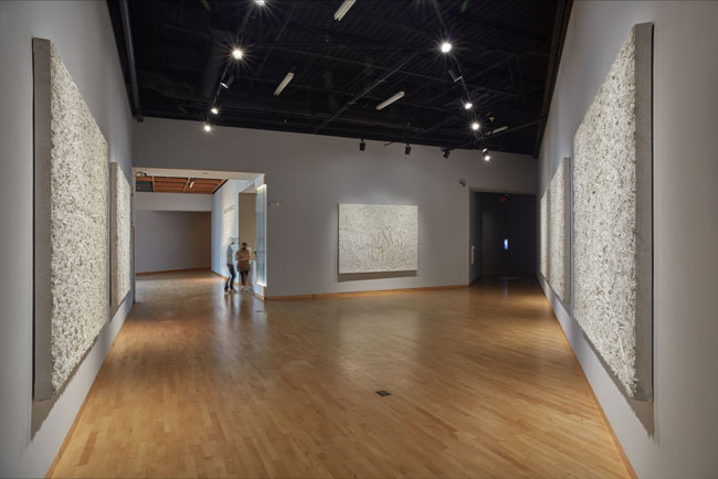 Bosco Sodi: Básico installation view at USF Contemporary Art Museum. Photo by Will Lytch.