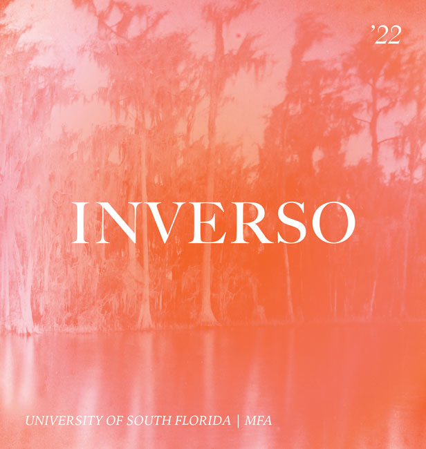 Inverso graphic by Natalia Kraviec