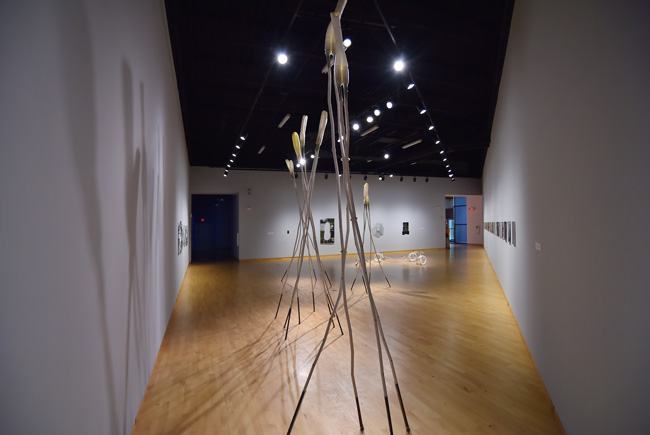 Installation view of I Keep The Ladders Clean: 2024 MFA Thesis exhibition at USF Contemporary Art Museum. Photo: Don Fuller.