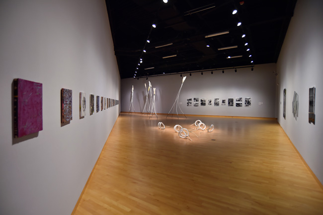 Installation view of I Keep The Ladders Clean: 2024 MFA Thesis exhibition at USF Contemporary Art Museum. Photo: Don Fuller.