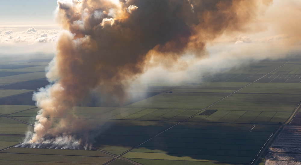 Skyway 2024 - Andres Ramirez, Controlled Burn - Sugar Cane Field, 2023.  Andres Ramirez.