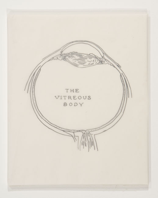 Kiki Smith
The Vitreous Body 
2000