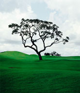 Caio Reisewitz, Goiânia Golf Club II, 2004. c-print mounted on Diasec.