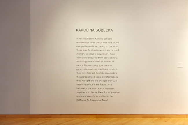 Installation view of The Visible Turn: Contemporary Artists Confront Political Invisibility exhibition at USF Contemporary Art Museum. Photo: Will Lytch.