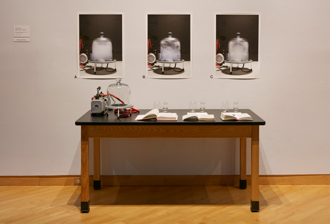 Installation view of The Visible Turn: Contemporary Artists Confront Political Invisibility exhibition at USF Contemporary Art Museum. Photo: Will Lytch.