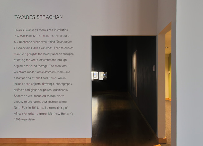 Installation view of The Visible Turn: Contemporary Artists Confront Political Invisibility exhibition at USF Contemporary Art Museum. Photo: Will Lytch.