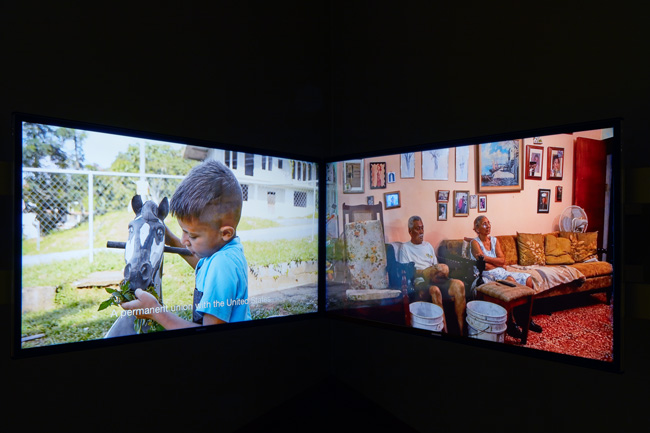 Jezabeth Roca González, La fábula de Luisa, 2021. Courtesy of the artist. Installation view of Constant Storm exhibition at USF Contemporary Art Museum. Photo: Will Lytch.