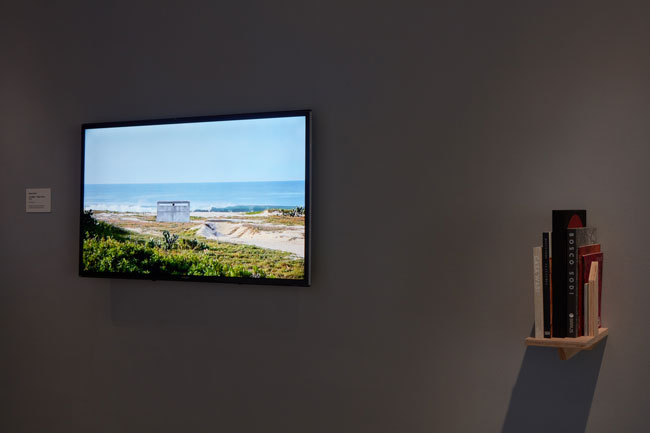 Bosco Sodi: Básico installation view at USF Contemporary Art Museum. Photo by Will Lytch.