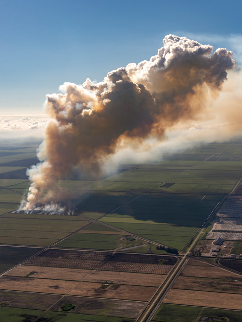 Andrés Ramírez, Controlled Burn - Sugar Cane Field, 2023. Courtesy of the artist. © Andrés Ramírez.